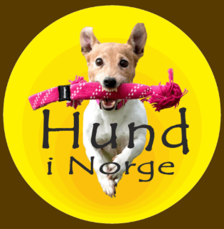 Hund I Norge